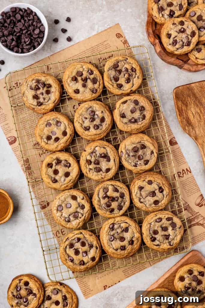 A wire cooling rack filled with an array of perfectly golden-brown chocolate chip cookies, each adorned with melty chocolate, with extra chips scattered around for visual appeal.