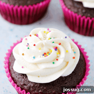 Simple Vanilla Buttercream Frosting with rainbow sprinkles.