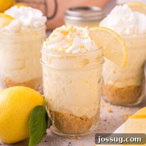 Zesty No-Bake Lemon Cheesecake Jars 7 Jar filled with delicious No-Bake Lemon Cheesecake, topped with whipped cream and a lemon slice