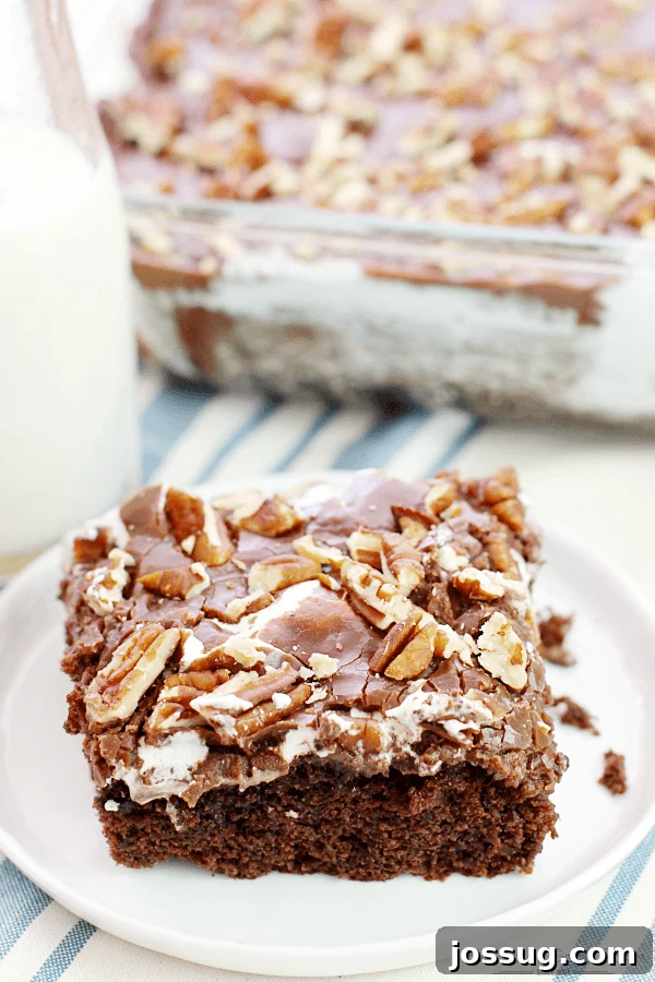 Southern Decadence Chocolate Cake 2 A slice of Mississippi Mud Cake on a white plate, showcasing its layers of chocolate cake, marshmallow, and frosting, topped with pecans.