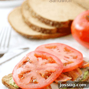Turkey Avocado Bacon Tomato Sandwich.
