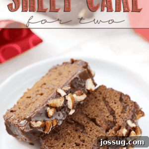 Texas Sheet Cake for Two pieces stacked on a white plate.