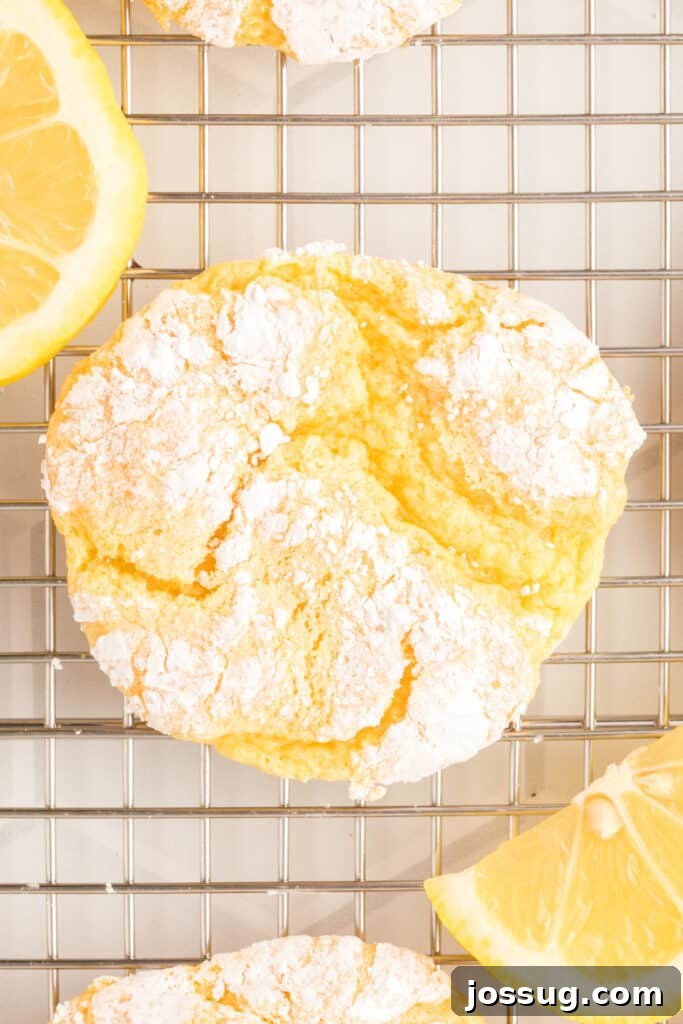 Sunshine Lemon Crinkles 4 A close-up of a single perfect Lemon Crinkle Cookie, showing its soft, powdered sugar coating and inviting texture.