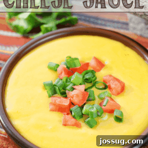Creamy Cheese Sauce 9 Basic Cheese Sauce in a brown bowl with fresh vegetables.