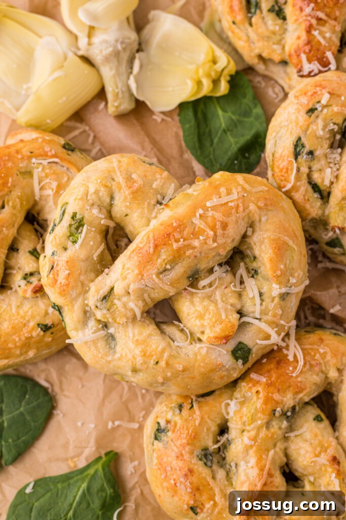 Savory Spinach Artichoke Pretzels 2 Spinach Artichoke Pretzels on brown paper with fresh artichokes and spinach leaves scattered around
