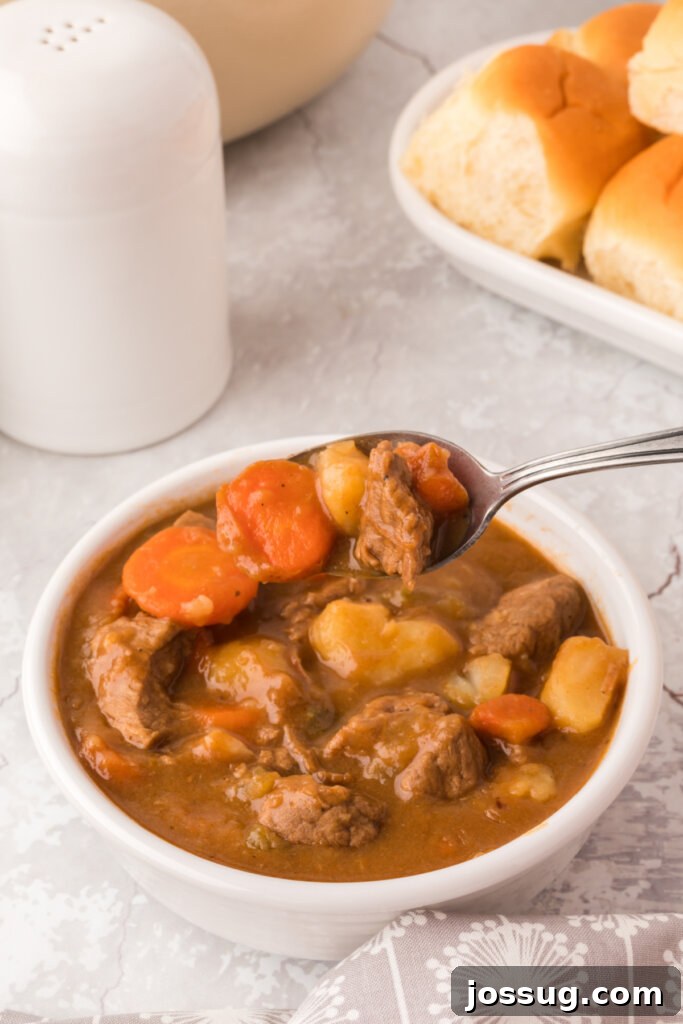 The Ultimate Beef Stew 4 Beef stew in a bowl with a spoon
