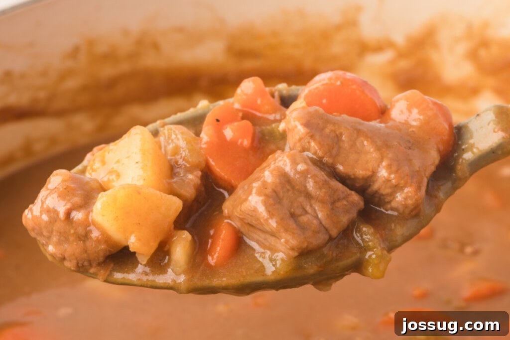 The Ultimate Beef Stew 5 Beef stew on a spoon