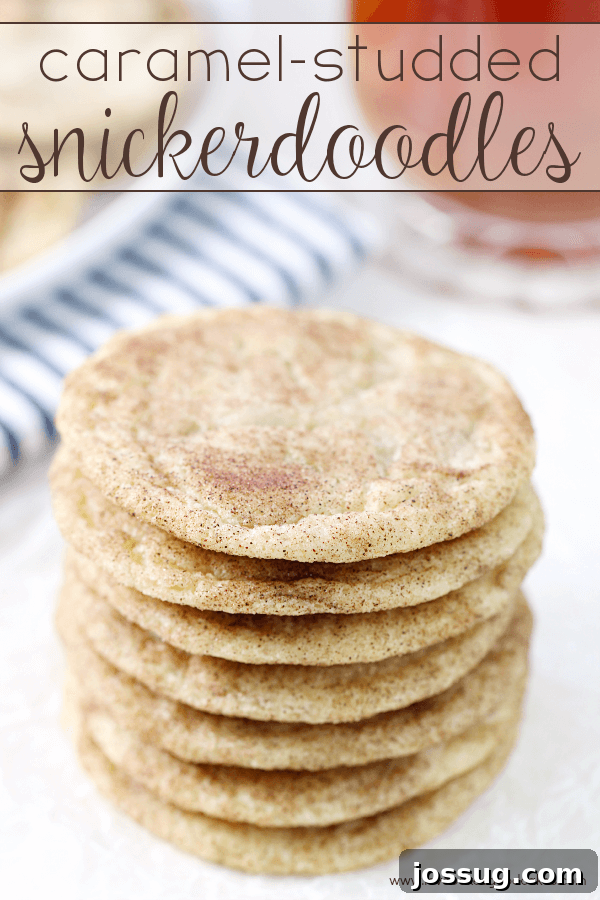 Salted Caramel Snickerdoodles 2 Stacked Caramel-Studded Snickerdoodles on a white plate, ready to be enjoyed with Bigelow tea.