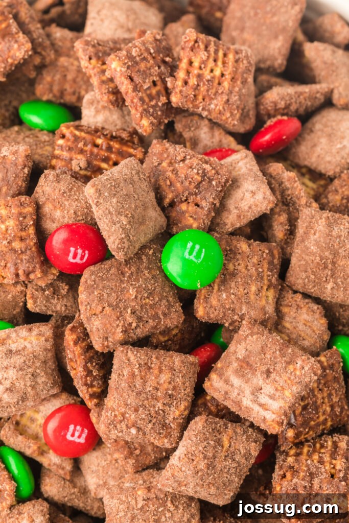 Festive Reindeer Fuel 3 closeup to show details of reindeer chow