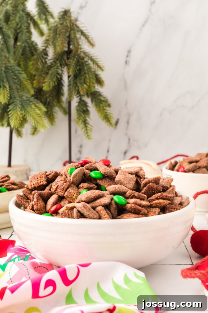 Festive Reindeer Fuel 5 festive setting with a bowl of reindeer chow