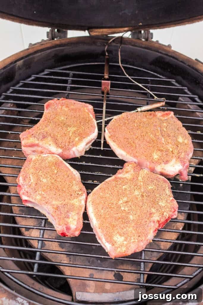Effortlessly Delicious Smoked Pork Chops 8 Seasoned pork chops are carefully placed on the hot grates of a smoker, poised to absorb the smoky flavors during cooking.