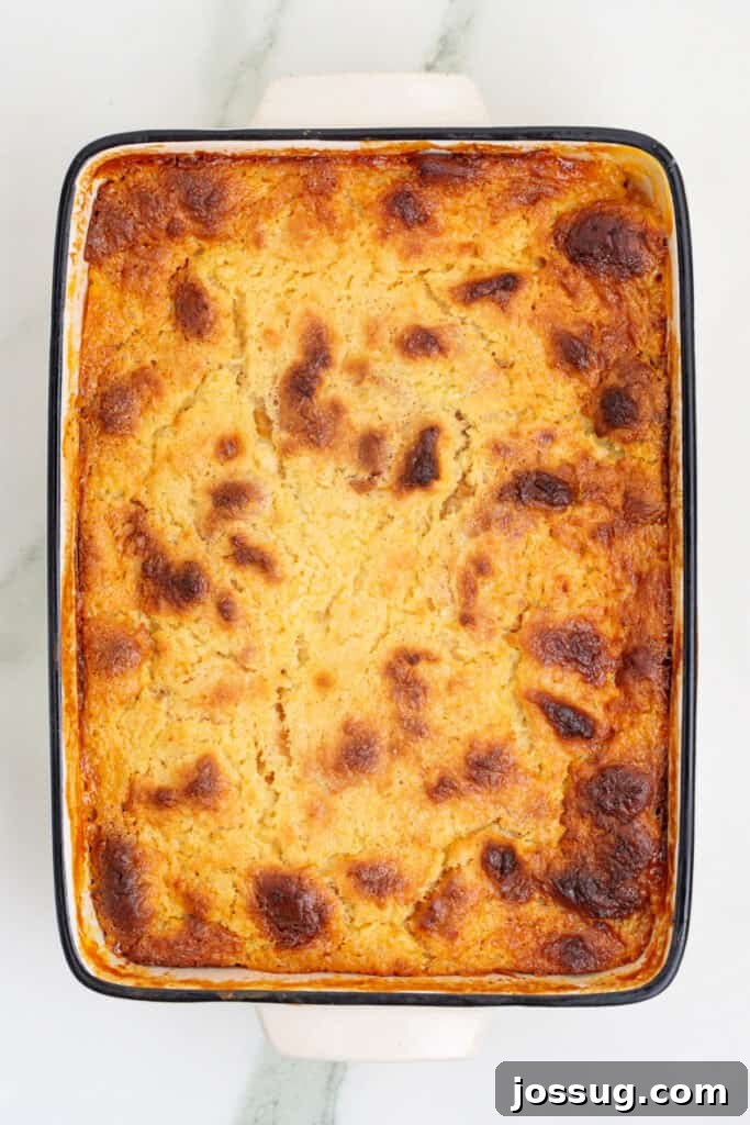 Caribbean Piña Pudding Bake 7 Freshly baked golden brown Piña Colada Bread Pudding, puffed and perfectly set, just removed from the oven in its white rectangular baking dish.