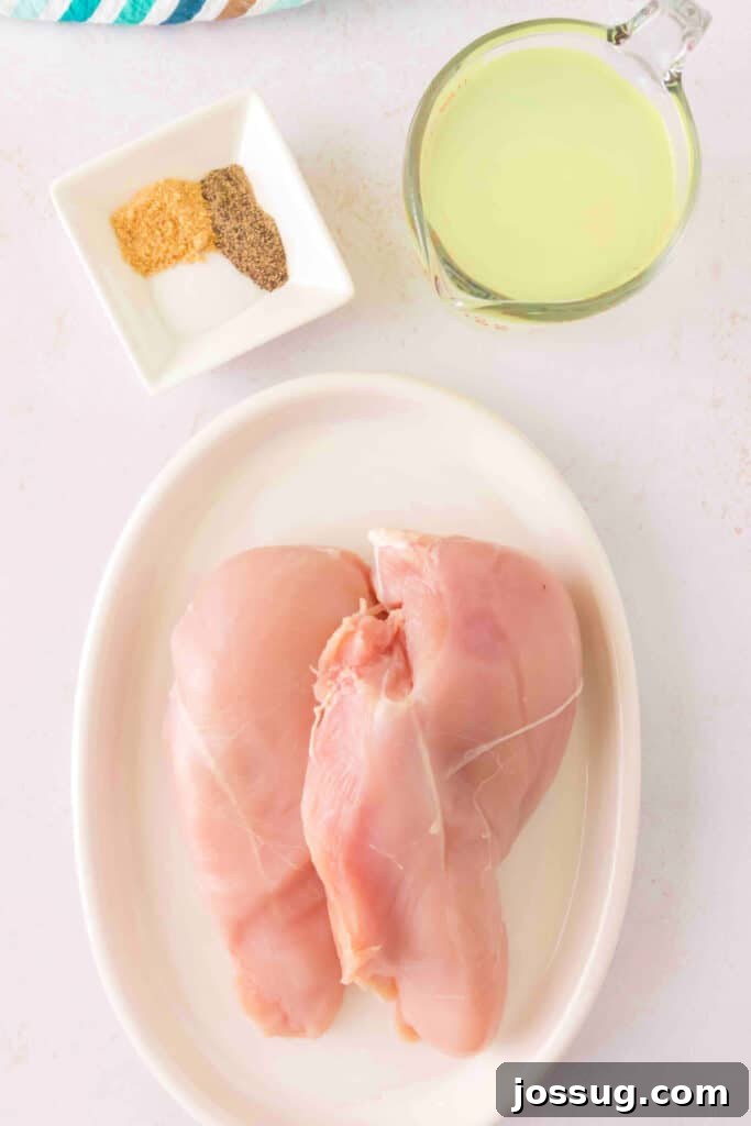 Raw chicken breasts on a white plate with spices and Margarita mix nearby