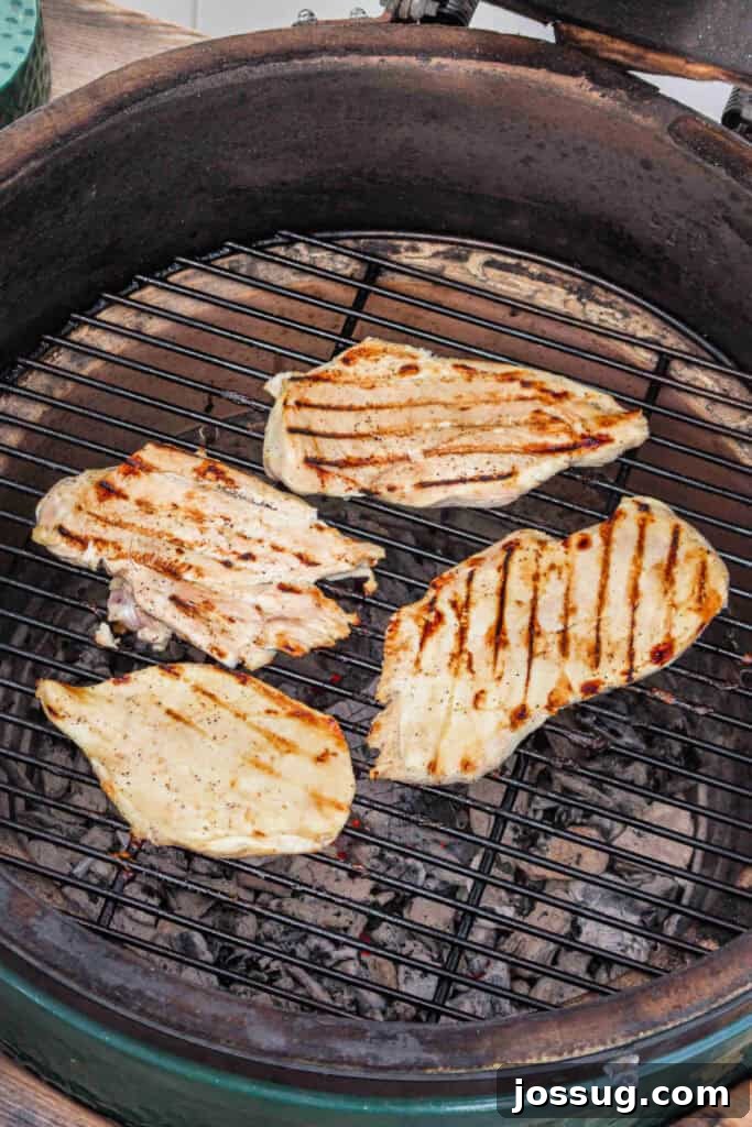 Chicken breasts halfway grilled with visible grill marks