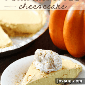 No-Bake Pumpkin Spice Cheesecake on a white plate.
