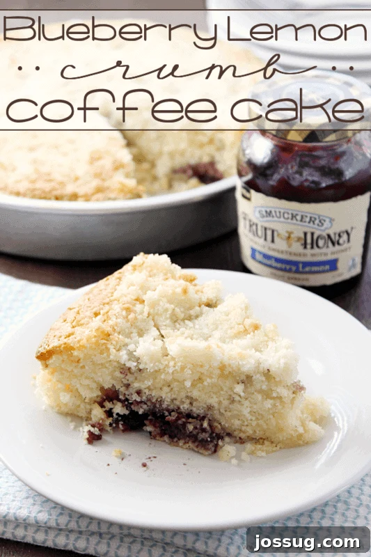 Blueberry Lemon Crumb Coffee Cake on a white plate with a jar of jam, ready to be served.