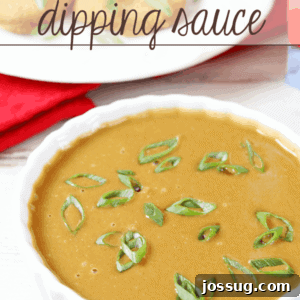 Asian Dipping Sauce in a white bowl.