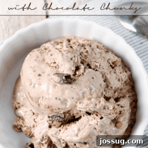 No-Churn Chocolate Cake Batter Ice Cream with Chocolate Chunks in a white bowl with a spoon.