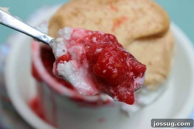 A Cloud of Raspberry Bliss 4 A Raspberry Meringue Soufflé in a white bowl with a spoon, ready to be enjoyed.