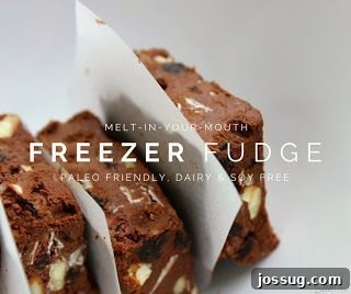 A Cloud of Raspberry Bliss 5 Squares of Freezer Fudge, a healthy and diet-friendly treat.