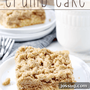 New York Crumb Cake on a white plate close up.