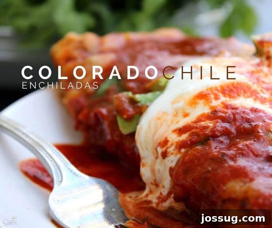 Decadent Chocolate Swirl Blondies 3 Colorado Chile Enchiladas on a white plate with a fork.