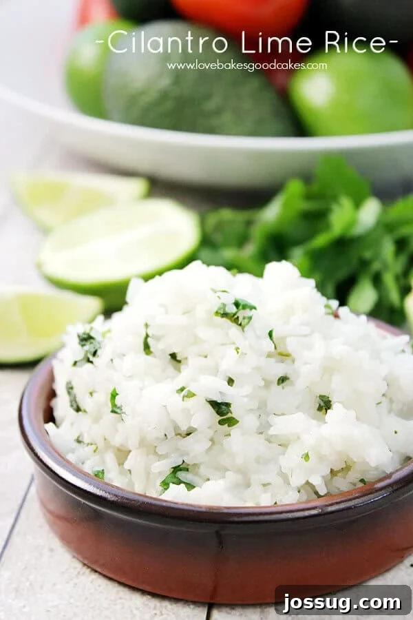 Freshly prepared Cilantro Lime Rice in a rustic brown bowl, garnished with a lime wedge and cilantro sprigs, showcasing its vibrant texture and inviting aroma.