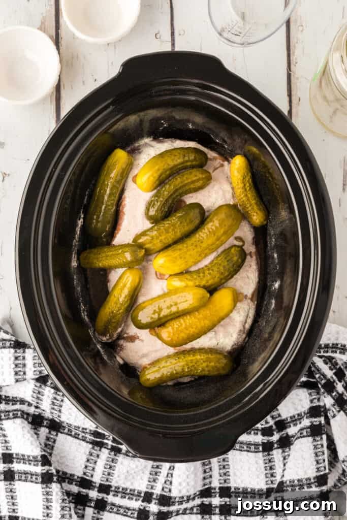 Zesty Slow Cooker Pot Roast 7 Overhead view of all raw ingredients in the slow cooker: pickles, seasoning mixes, pickle brine, and the chuck roast, ready for cooking.