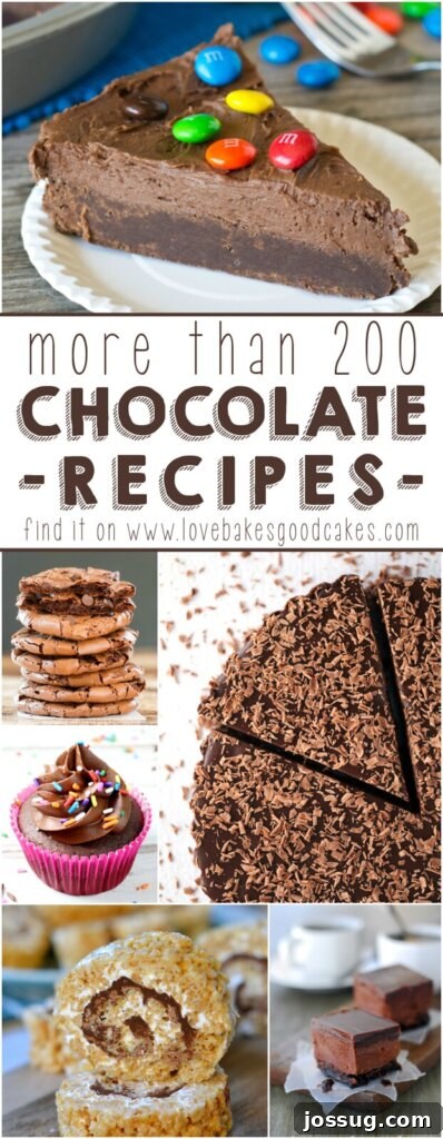 A vibrant collage showcasing more than 200 diverse chocolate recipes, including classic chocolate chip cookies, rich chocolate fudge brownies, elegant chocolate cakes, and delightful chocolate cupcakes, promising sweet indulgence for all chocolate lovers.