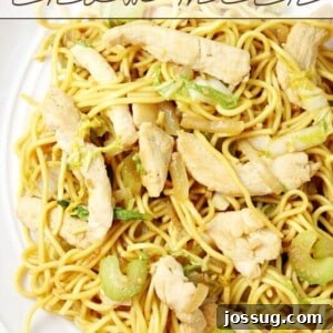 Spicy Chicken Chow Mein on a white plate, showcasing the rich colors of chicken, noodles, and vegetables.