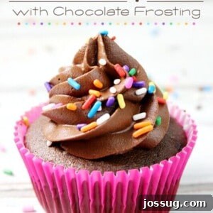 Delicious From-Scratch Chocolate Cupcakes with rich chocolate frosting and colorful sprinkles.