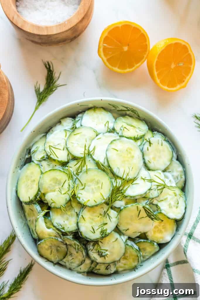 Polish Dill Cucumber Salad 2 Overhead view of finished Polish cucumber salad garnished with fresh dill in a white serving bowl, ready to be enjoyed.