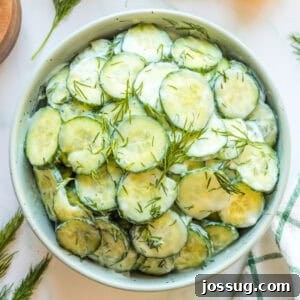 Square crop of refreshing Polish cucumber salad with sour cream and dill in a white bowl, perfectly chilled and ready to serve.