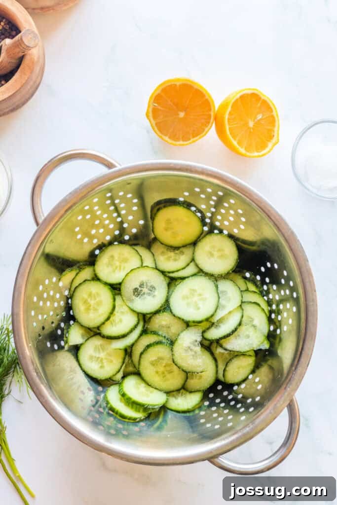 Polish Dill Cucumber Salad 5 Freshly sliced cucumber pieces, generously salted, resting and draining in a stainless steel colander over a bowl to release excess moisture.