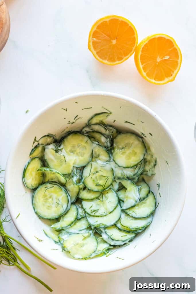 Polish Dill Cucumber Salad 7 A beautifully mixed Polish cucumber salad, creamy with dill dressing, presented in an elegant white serving bowl, garnished with fresh dill sprigs.