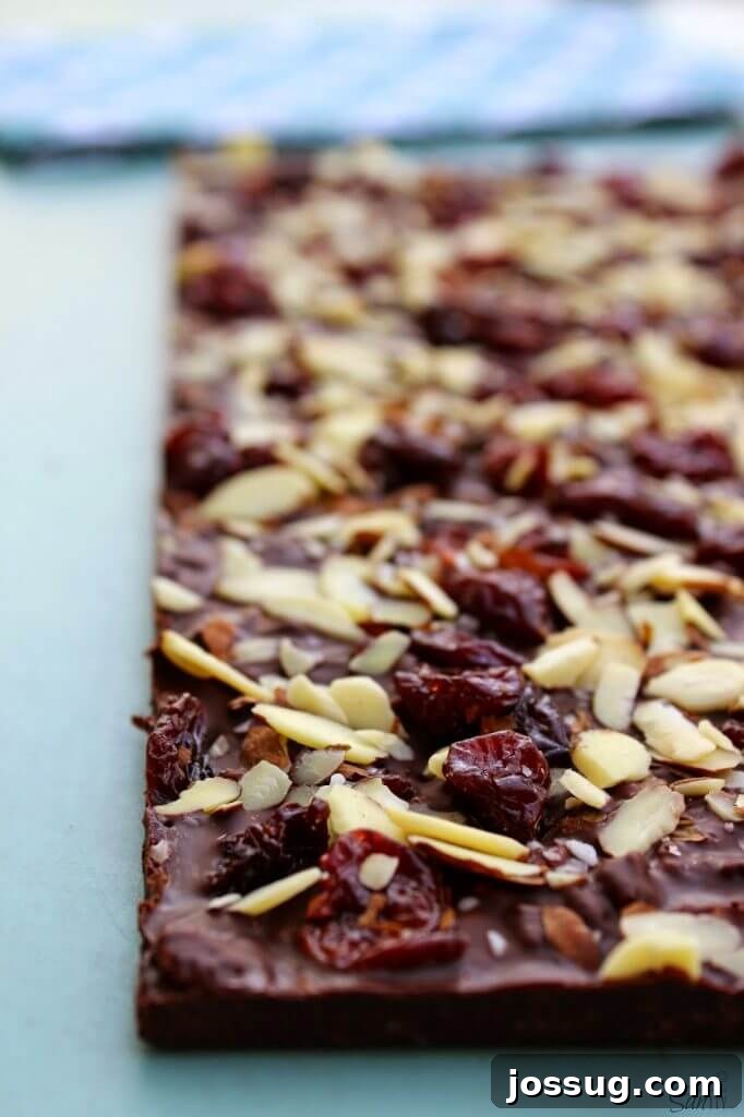Decadent Dark Cherry Almond Crunch Bars 5 A detailed close-up of a Crispy Dark Chocolate Cherry & Almond Bar, showing the texture and embedded ingredients.
