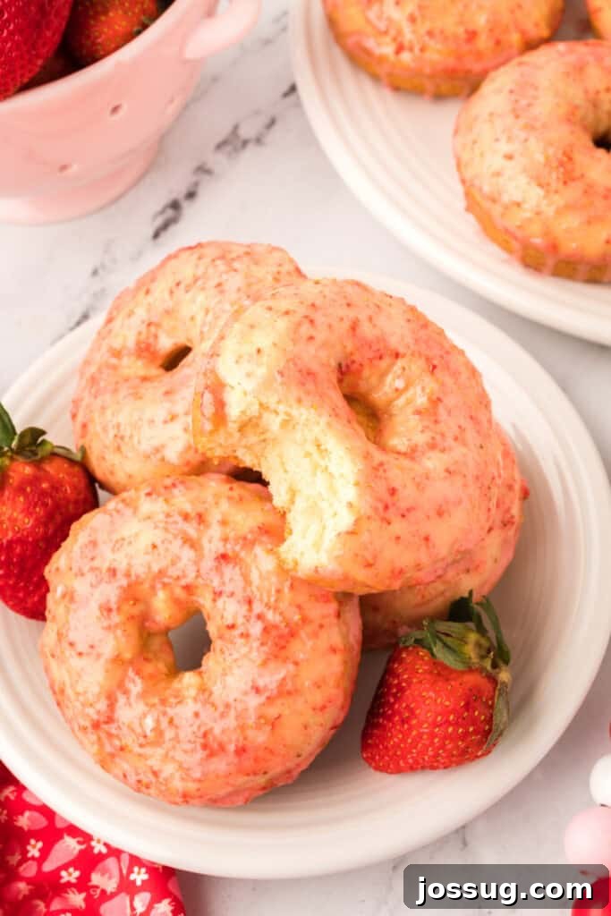 Strawberry Kissed Vanilla Cake Donuts 5 three vanilla cake donuts on plate one with a bite