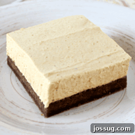 Autumn's Sweetest Pumpkin Creations 9 Pumpkin Spice Cheesecake Bars