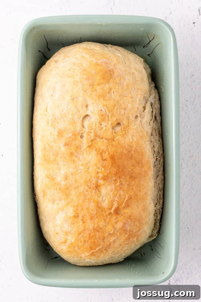 Fully baked loaf of bread in a green loaf pan