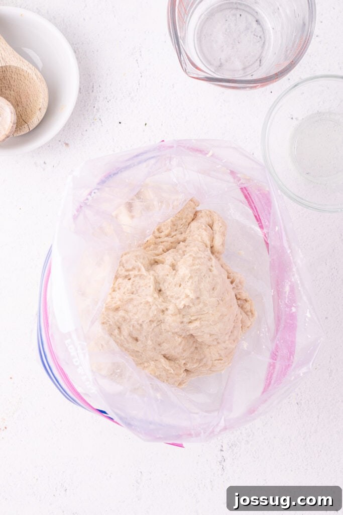 Fully kneaded bread dough inside a Ziploc bag