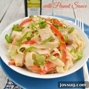 Chicken Fettuccine with Peanut Sauce - Recipe Image