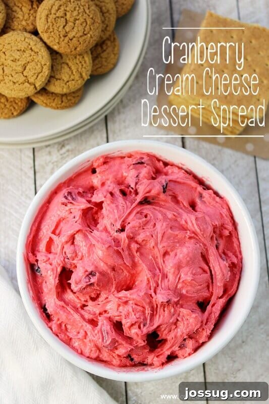 Whipped Cranberry Cream Cheese Treat 2 A beautiful white bowl filled with Cranberry Cream Cheese Dessert Spread, accompanied by another bowl brimming with assorted cookies, ready for dipping.