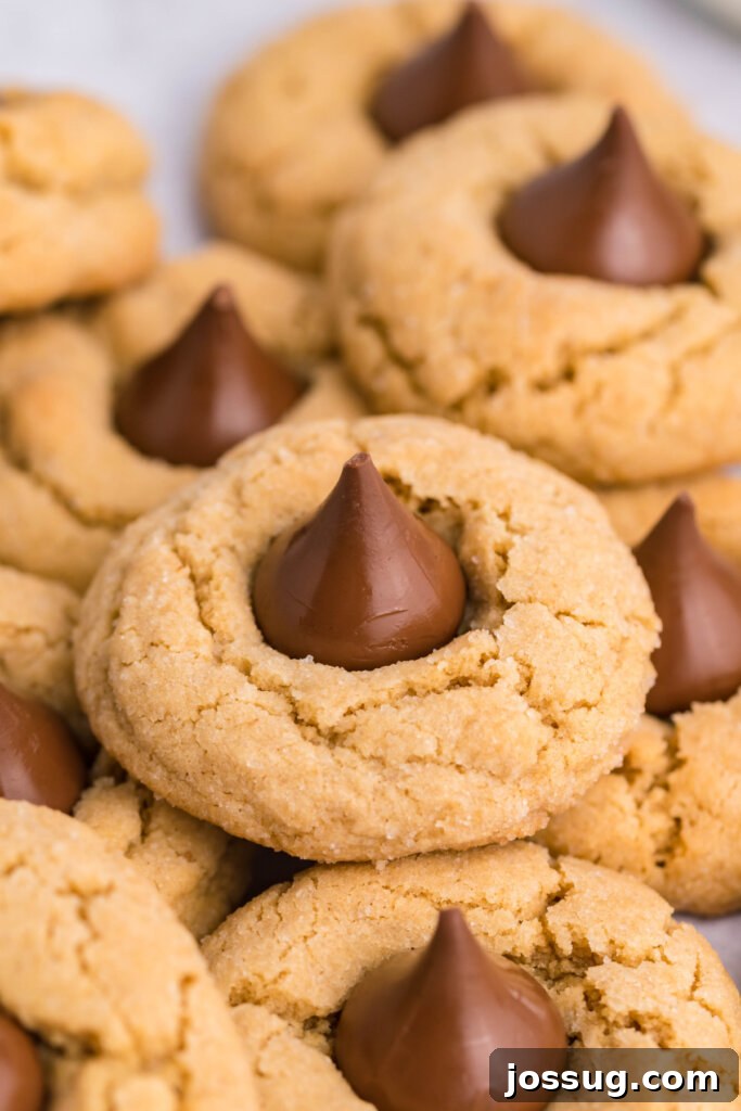 Sweet Peanut Butter Blooms 2 A delectable spread of several classic Peanut Butter Blossoms cookies, some stacked, others scattered, showcasing their inviting texture and chocolate kiss tops. Perfect for holiday baking inspiration.