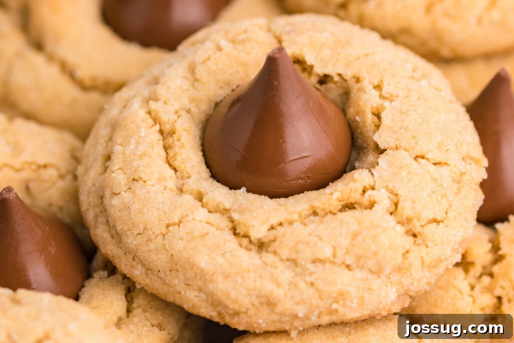 Sweet Peanut Butter Blooms 5 A beautiful closeup shot of a single Peanut Butter Blossom cookie, highlighting its rich texture and perfectly melted chocolate kiss center.