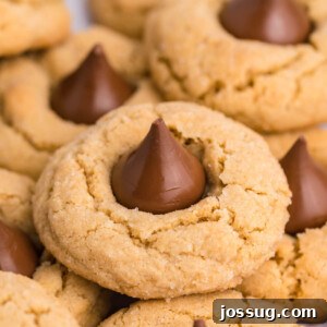 Sweet Peanut Butter Blooms 6 several peanut butter blossoms
