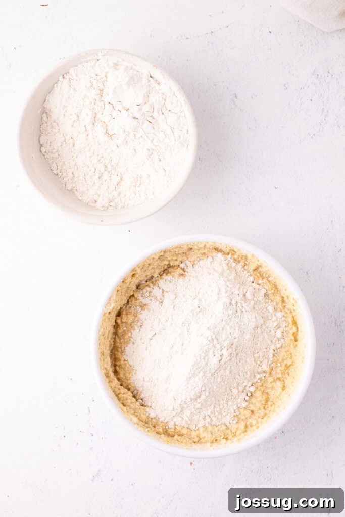 Pillowy Italian Ricotta Cookies 9 Flour and other dry ingredients added to the ricotta cookie dough for final mixing