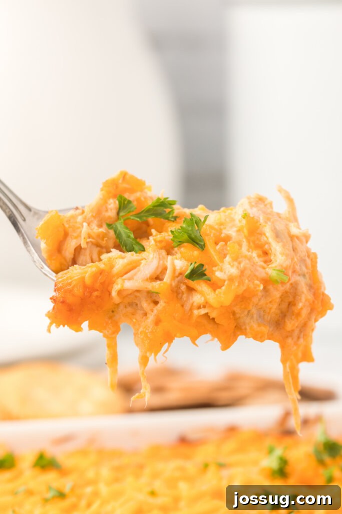 Ultimate Buffalo Chicken Dip 2 Closeup of buffalo chicken dip on spoon, highlighting its creamy texture and rich color, ready to be enjoyed as a perfect party appetizer.