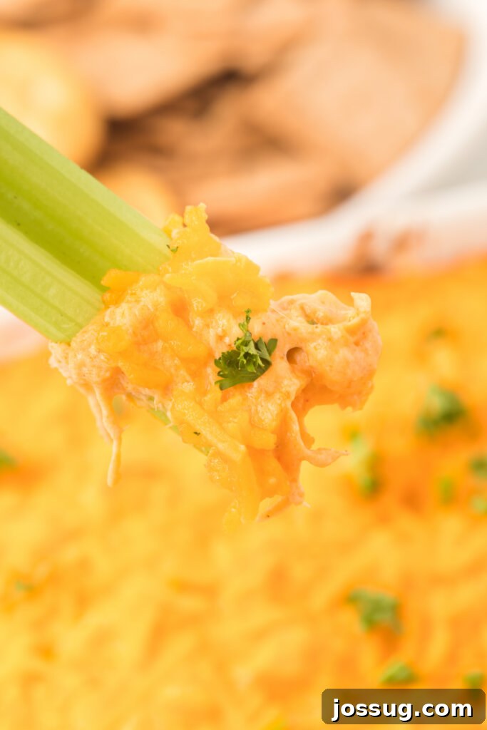 Ultimate Buffalo Chicken Dip 3 Celery stick generously topped with creamy Buffalo Chicken Dip, ready for a delicious bite.