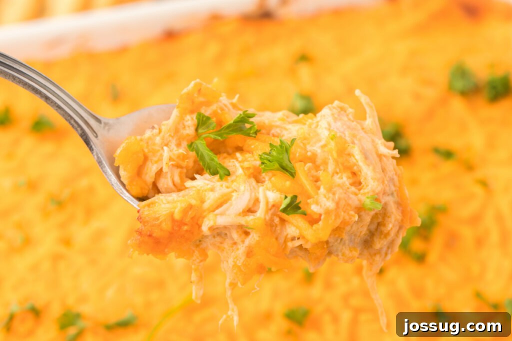 Ultimate Buffalo Chicken Dip 5 Scoop of creamy Buffalo Chicken Dip on a spoon, showcasing its rich texture and appetizing appeal.