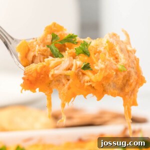buffalo chicken dip on spoon